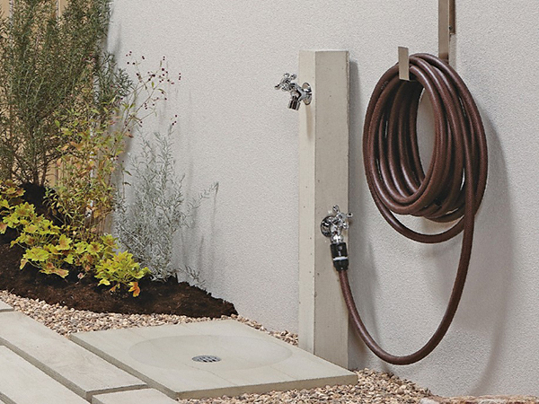 EK[fVNE𒌁EGNXeÂƂȂGNXVbv摜2