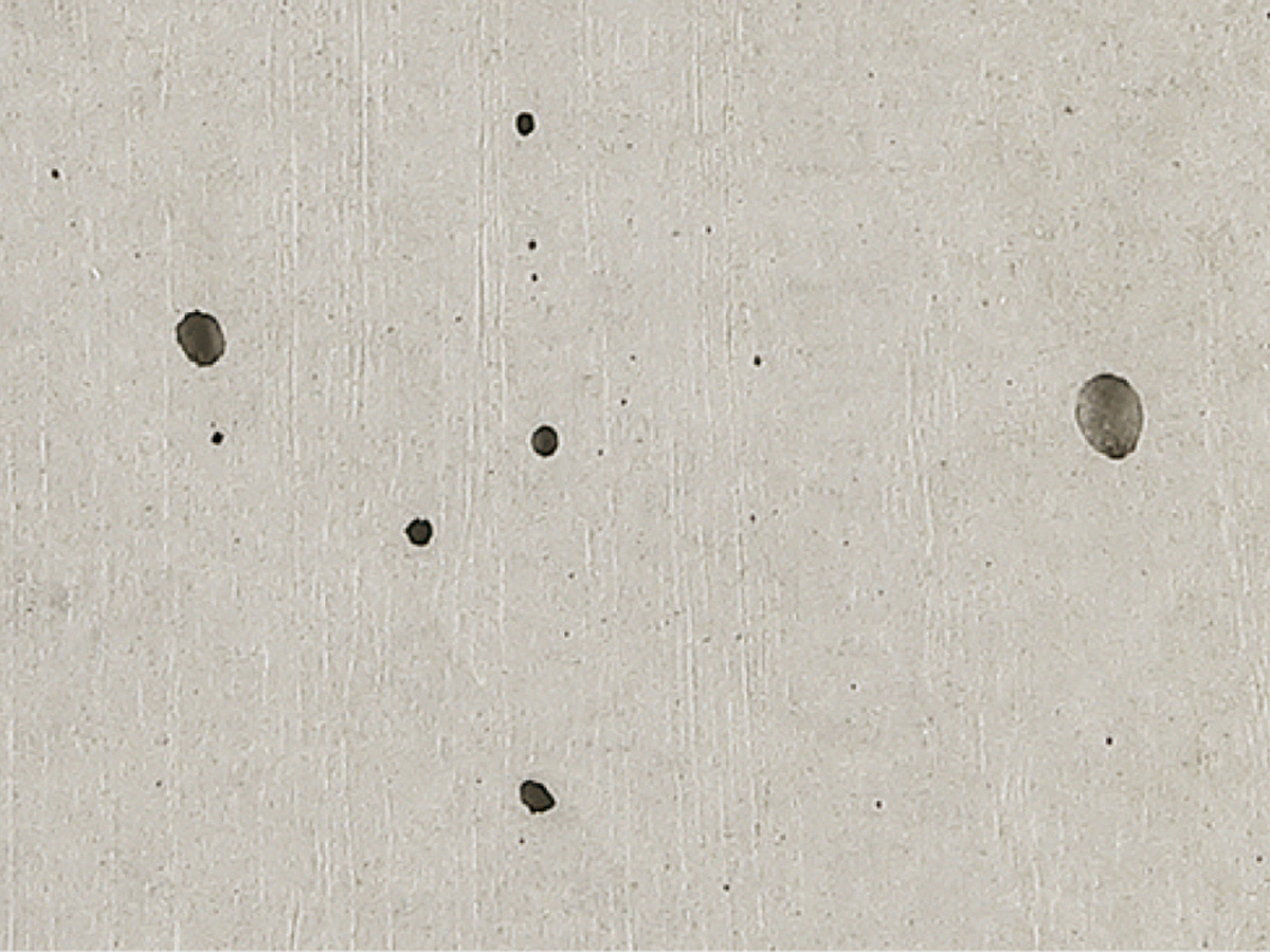 EK[fVNE𒌁EGNXeÂƂȂGNXVbv摜6