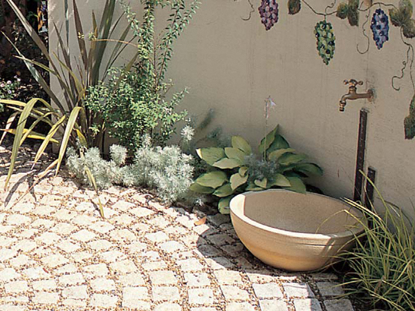 EK[fVNE𒌁EGNXeÂƂȂGNXVbv摜1