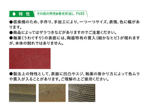 EK[fVNE𒌁EGNXeÂƂȂGNXVbv摜2