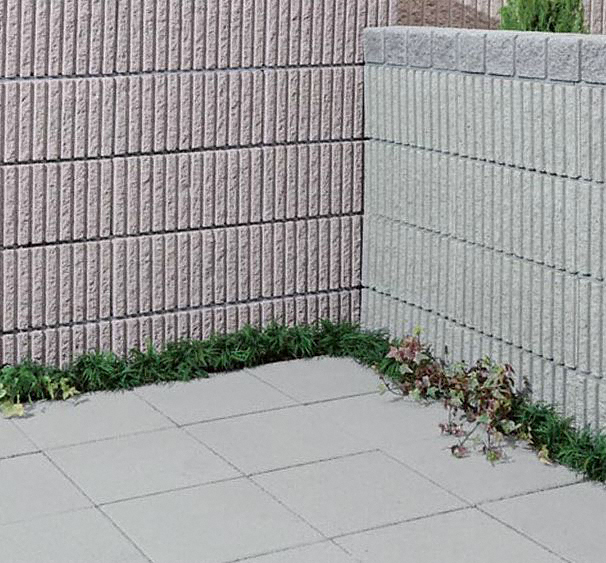 ΍ށEGNXeÂƂȂGNXVbv摜1