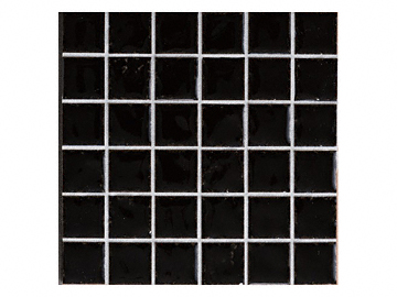 MINOIR̐΍ }lX RN-025/MX-21 PF