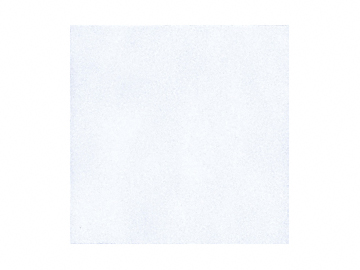 MINOIR̐΍ J[li300pj PM-300/CAE-1