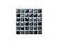 MINOIR̐΍ X^[_Xg S-10