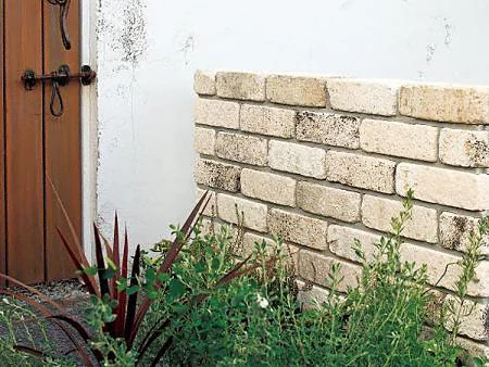 TYST000028_720.webp TYST000028_720.webp