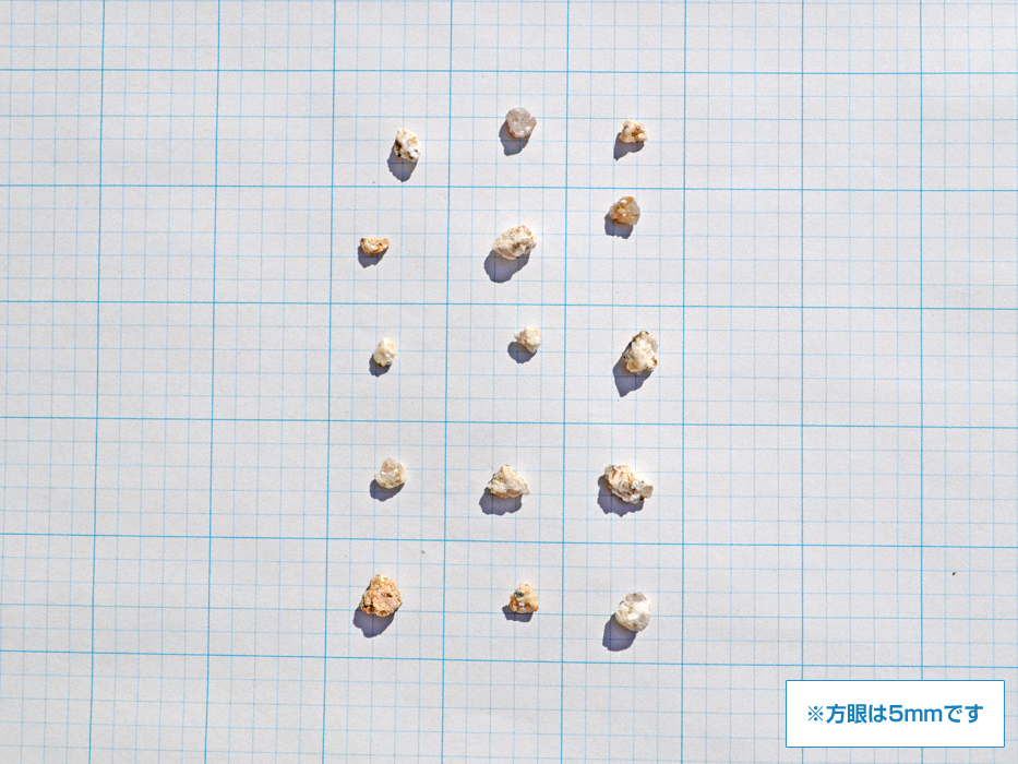 ΍ށEGNXeÂƂȂGNXVbv摜2