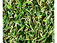 jIrY̐lHŁEŐ [^[t 25 for Garden MT25-0110