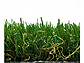 jIrY̐lHŁEŐ [^[t AIR for Garden MTA28-0110摜1