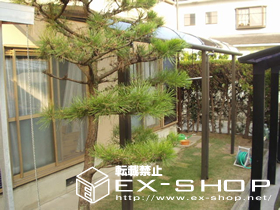 のテラス屋根 ライザーテラス R型  連棟 テラスタイプ  積雪〜20cm対応 施工例