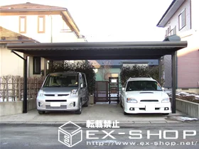 LIXIL NV(gXe)̃J[|[g eIX|[gII  ϐ`50cmΉ {H