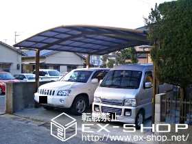 LIXIL ���N�V��(�g�X�e��)�̃J�[�|�[�g �J�[�u�|�[�g�V�O�}II  M�����^�C�v  �ϐ�`20cm�Ή� �{�H��