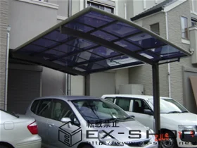 {ŝ̃oRj[Ex_AJ[|[g J[u|[gVO}II  ϐ`20cmΉ {H