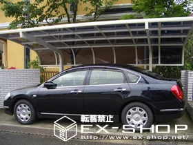 �_�ސ쌧���l�s�s�}���LIXIL ���N�V���i�g�X�e���j�̃J�[�|�[�g �e�[���|�[�g�V�O�}  �ϐ�`20cm�Ή� �{�H��