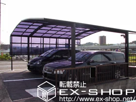 �򕌌��������s��LIXIL ���N�V���i�g�X�e���j�̃J�[�|�[�g �J�[�u�|�[�g�V�O�}III �ϐ�`20cm�Ή� �{�H��