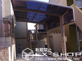 mmŝ̃J[|[gAoRj[Ex_AeX J[u|[gVO}V ϐ`20cmΉ {H