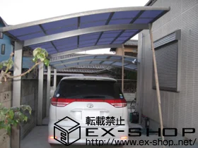 ��ʌ������s��LIXIL ���N�V���i�g�X�e���j�̃J�[�|�[�g �J�[�u�|�[�g�V�O�}III �ϐ�`20cm�Ή� �{�H��