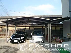 LIXIL ���N�V��(�g�X�e��)�̃J�[�|�[�g �J�[�u�|�[�g�V�O�}II  Y�{M�����^�C�v �ϐ�`20cm�Ή� �{�H��