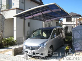 LIXIL NV(gXe)̃J[|[g J[u|[gVO}III ϐ`20cmΉ {H