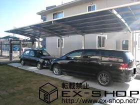 YKKAP�̃J�[�|�[�g ���C�i�|�[�g �c�A�� �ϐ�`20cm�Ή� �{�H��