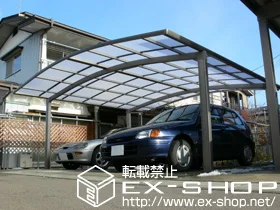 LIXIL NV(gXe)̃J[|[g J[u|[gVO}V Ch ϐ`20cmΉ {H