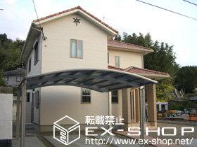 のカーポート プレシオスポート ワイド 積雪〜20cm対応 施工例