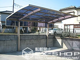 ��ʌ�����s��LIXIL ���N�V���i�g�X�e���j�̃J�[�|�[�g �J�[�u�|�[�g�V�O�}�V �ϐ�`20cm�Ή� �{�H��