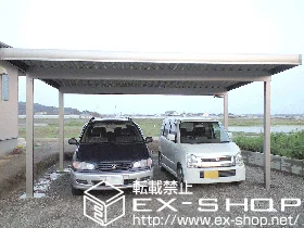 LIXIL ���N�V��(�g�X�e��)�̃J�[�|�[�g �e���I�X�|�[�gII  �ϐ�`30cm�Ή� 2��p �{�H��