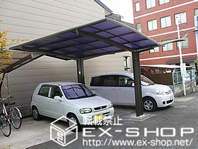 ���s�{���s�s�㋞���LIXIL ���N�V���i�g�X�e���j�̃J�[�|�[�g �J�[�u�|�[�g�V�O�}III�@Y�����@�ϐ�`20cm�Ή� �{�H��