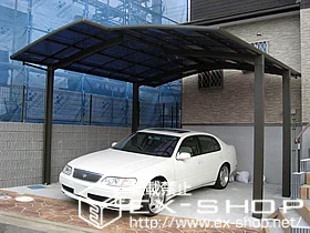 LIXIL ���N�V��(�g�X�e��)�̃J�[�|�[�g �J�[�u�|�[�g�V�O�}III M�����^�C�v �ϐ�`20cm�Ή� �{�H��