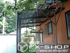 のテラス屋根 ライザーテラス?F型　テラスタイプ単体 施工例