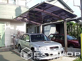 �����s����s��LIXIL ���N�V���i�g�X�e���j�̃J�[�|�[�g �J�[�u�|�[�g�V�O�}III �ϐ�`20cm�Ή� �{�H��