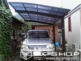 LIXIL ���N�V��(�g�X�e��)�̃J�[�|�[�g �J�[�u�|�[�g�V�O�}III �ϐ�`20cm�Ή� �{�H��