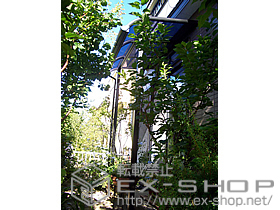 のテラス屋根 アルファテラスRB型 単体 テラスタイプ 積雪〜20cm対応 施工例