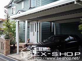 LIXIL NV(gXe)̃J[|[g eIX|[gII 3000 2p pdl ϐ`100cmΉ {H