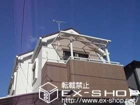 _ސ쌧lŝ̃oRj[Ex_AeXAJ[|[g CU[eXII F^ P ^Cv ϐ`20cmΉ {H