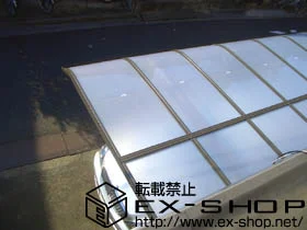 LIXIL NV(gXe)̃J[|[g K[i|[gVO}V L ϐ`20cmΉ {H