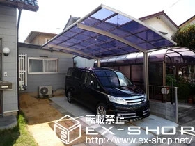 LIXIL ���N�V��(�g�X�e��)�̃J�[�|�[�g �J�[�u�|�[�g�V�O�}III �ϐ�`20cm�Ή� �{�H��