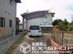 LIXIL ���N�V��(�g�X�e��)�̃J�[�|�[�g �J�[�u�|�[�g�V�O�}�V �ϐ�`20cm�Ή� �{�H��