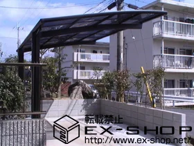 LIXIL ���N�V��(�g�X�e��)�̃J�[�|�[�g �J�[�u�|�[�g�V�O�}�h�h�h �ϐ�`20cm�Ή� �{�H��