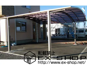 LIXIL NV(gXe)̃J[|[g J[u|[gVO}III Ch ϐ`20cmΉ {H