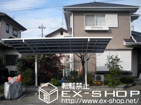 ��錧�����S�܉�����LIXIL ���N�V���i�g�X�e���j�̃J�[�|�[�g �J�[�u�|�[�g�V�O�}III �ϐ�`20cm�Ή� �{�H��