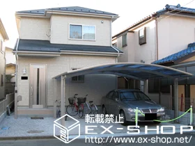 _ސ쌧͌ŝ̃J[|[gAoRj[Ex_ vVIX|[g Ch ϐ`20cmΉ {H