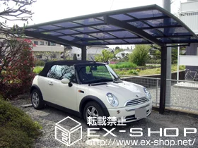 LIXIL NV(gXe)̃J[|[g J[u|[gVO}V ϐ`20cmΉ {H