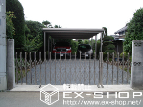 のカーポート テリオスポートII 900 2台用 縦連棟タイプ 積雪〜30cm対応 施工例