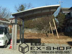 ��錧��~�s��LIXIL ���N�V���i�g�X�e���j�̃J�[�|�[�g �J�[�u�|�[�g�V�O�}III �ϐ�`20cm�Ή� �{�H��