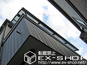 のバルコニー・ベランダ屋根 プレシオステラス R型 屋根タイプ 単体 積雪〜20cm対応＋吊り下げ物干し　標準　2本入 施工例