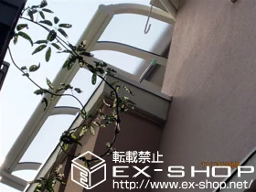 _ސ쌧ls΋̂̃oRj[Ex_ FN^[eX R^ [t^Cv P ϐ`20cmΉ {H