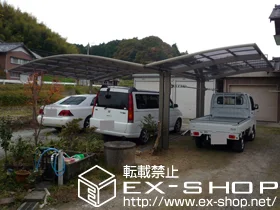 �O�d���Îs�̂̃J�[�|�[�g �J�[�u�|�[�g�V�O�}III  �ϐ�`20cm�Ή� �{�H��