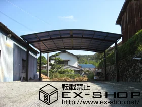 LIXIL ���N�V��(�g�X�e��)�̃J�[�|�[�g �J�[�u�|�[�g�V�O�}�V ���C�h�^�C�v �ϐ�`20cm�Ή� �{�H��