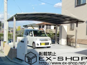 LIXIL NV(gXe)̃J[|[g J[u|[gVO}III Ch@ϐ`20cmΉ{[@O^Cv 2{ {H